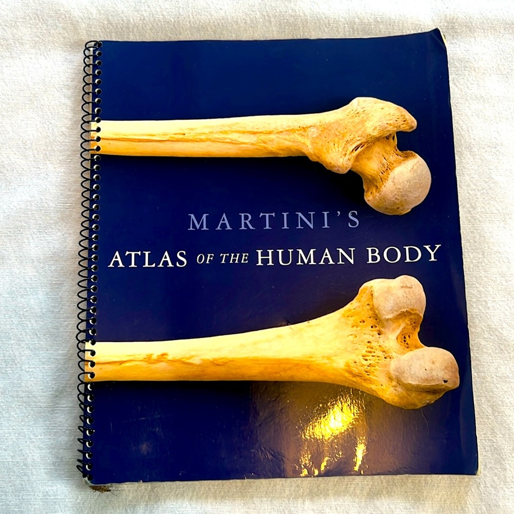 ⭐️ Atlas to the Human Body NWT spiral Text Book by Frederic H. Martini
